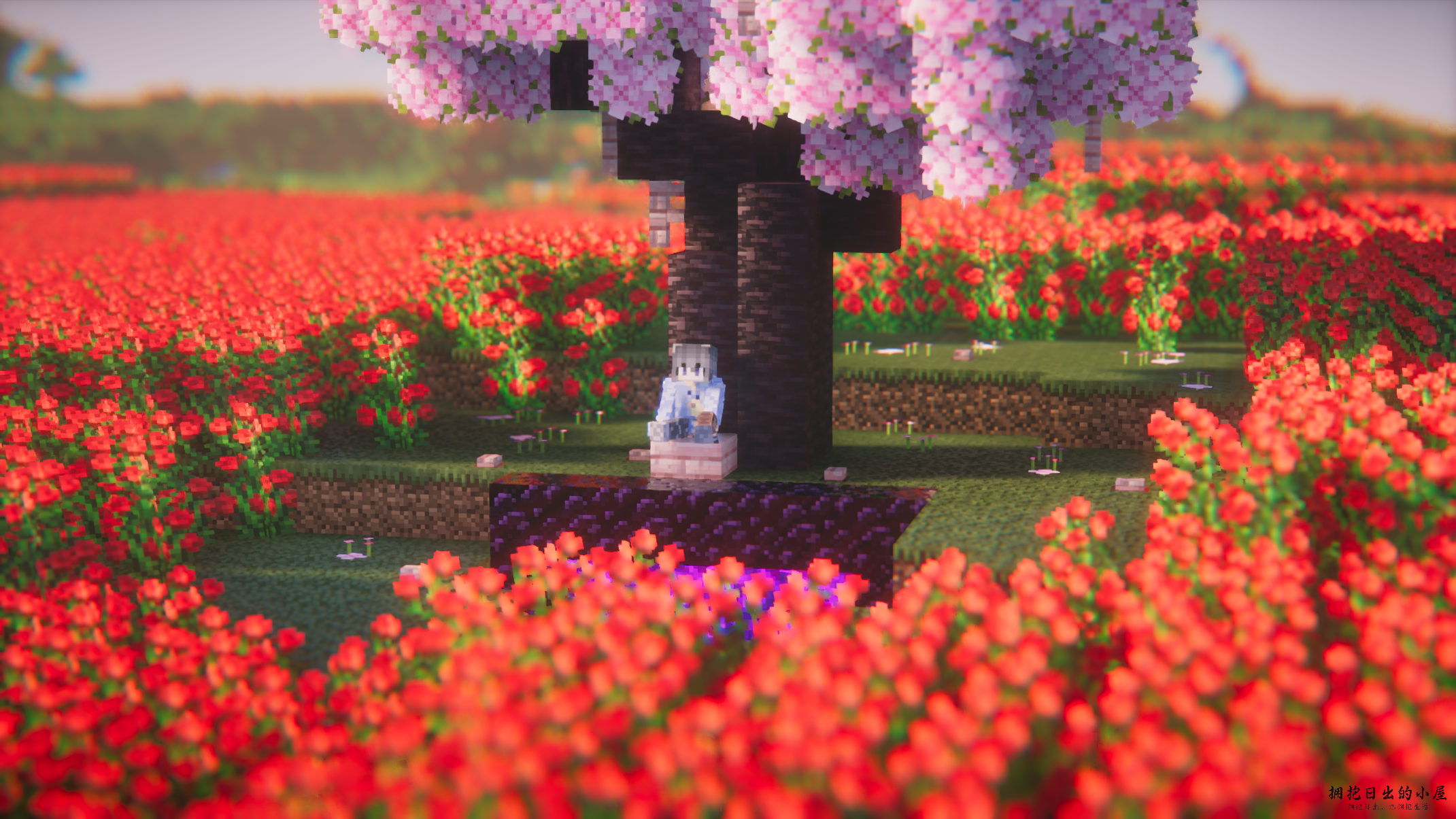 『随笔』为什么我会选择Halo？